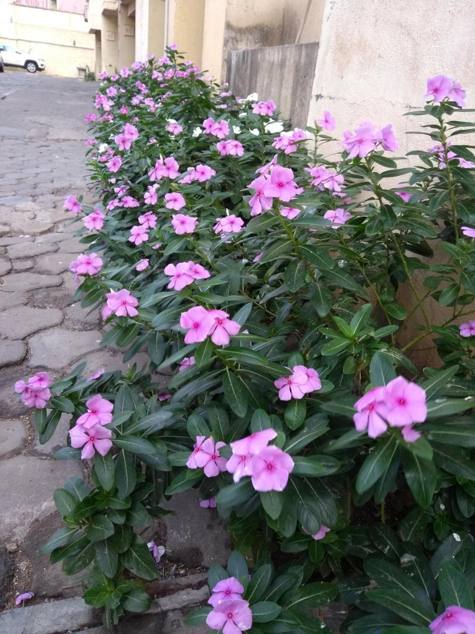 Beach Penthouse, Chennai B&B 외부 사진
